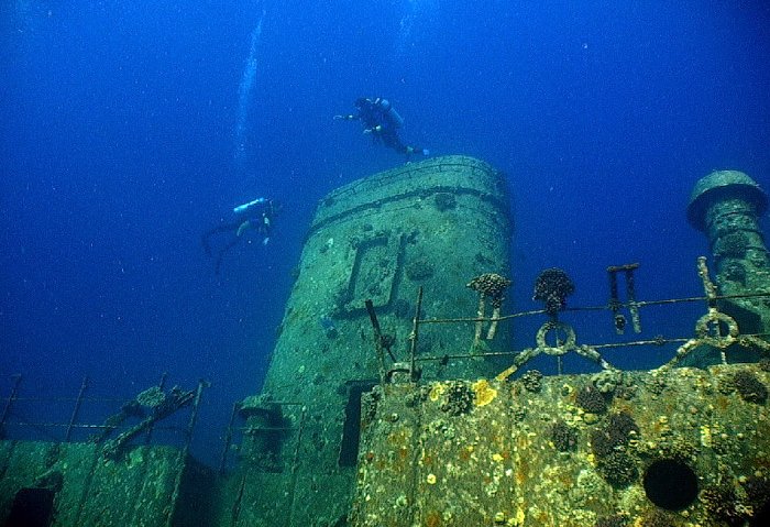 «Зенобия, морская жизнь»